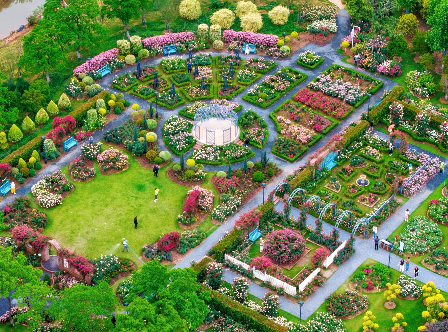 今天六点的沙湖公园