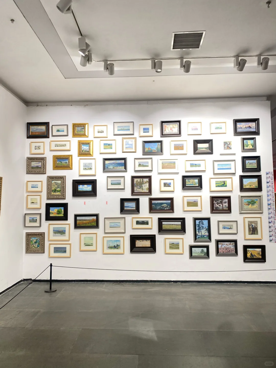 偶遇云龙湖画展 超出片 快去打卡