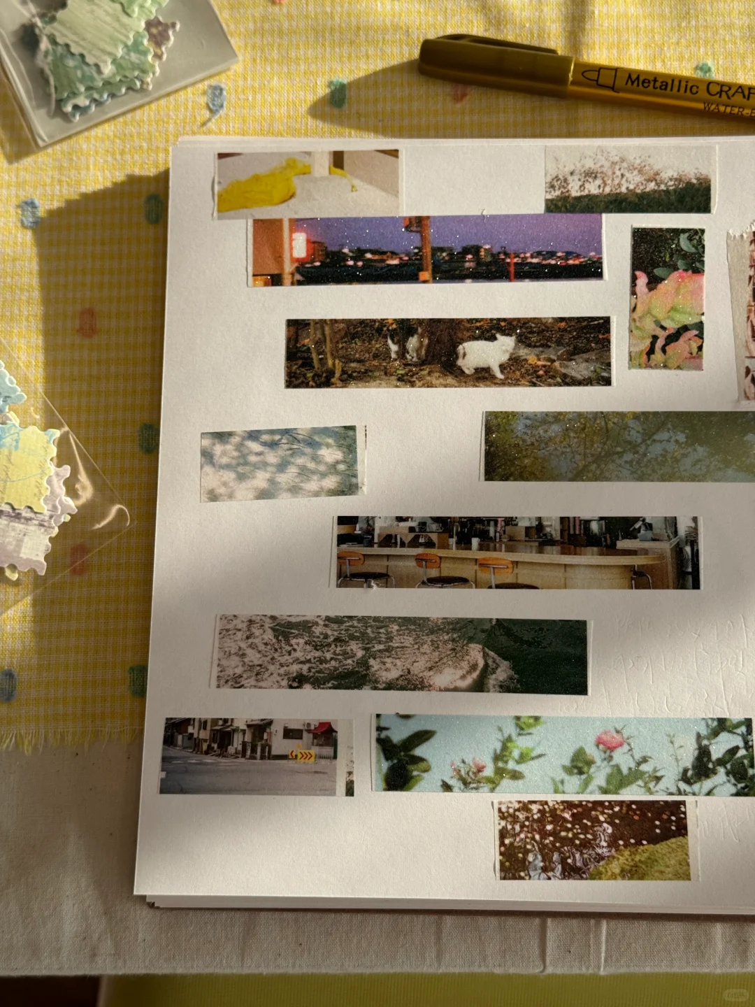 ⋆꙳?上海超治愈展览｜阳光太好真「坐不住了」