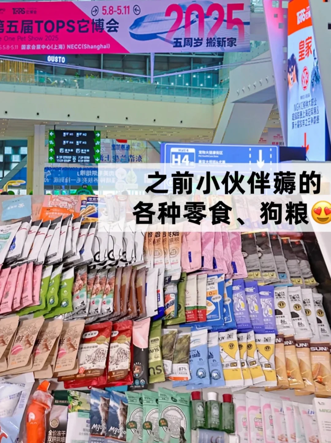 上海它博会专业日2天通票➕攻略❗️