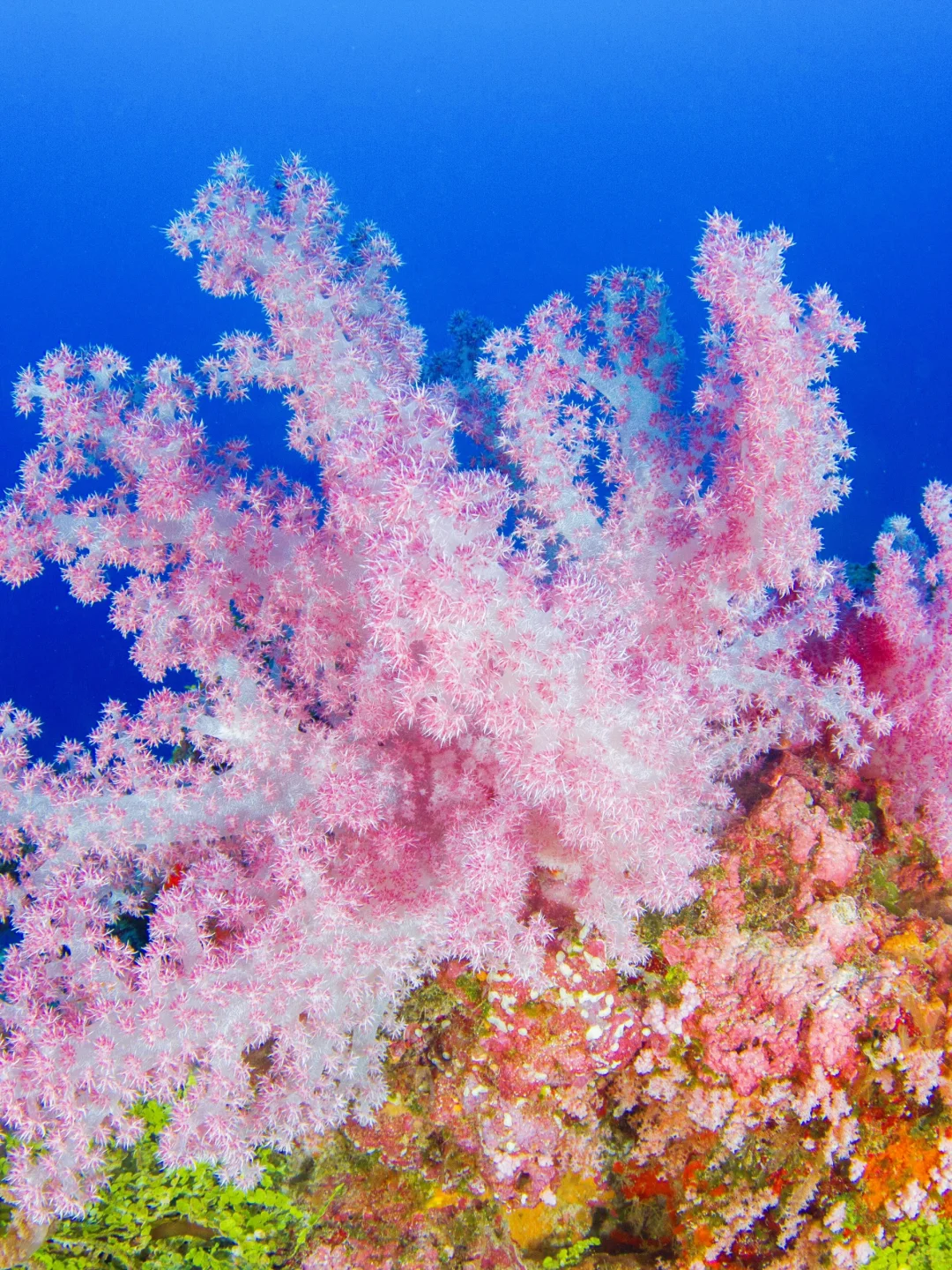 ITB China旅游展|旅游爱好者冲就对了~