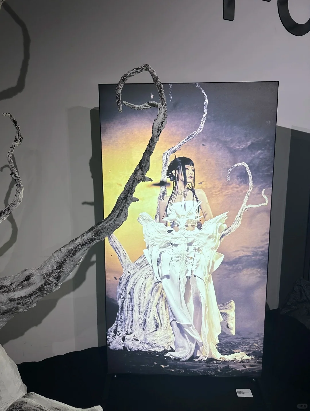 在展览会上 送别大G 再见（G）??