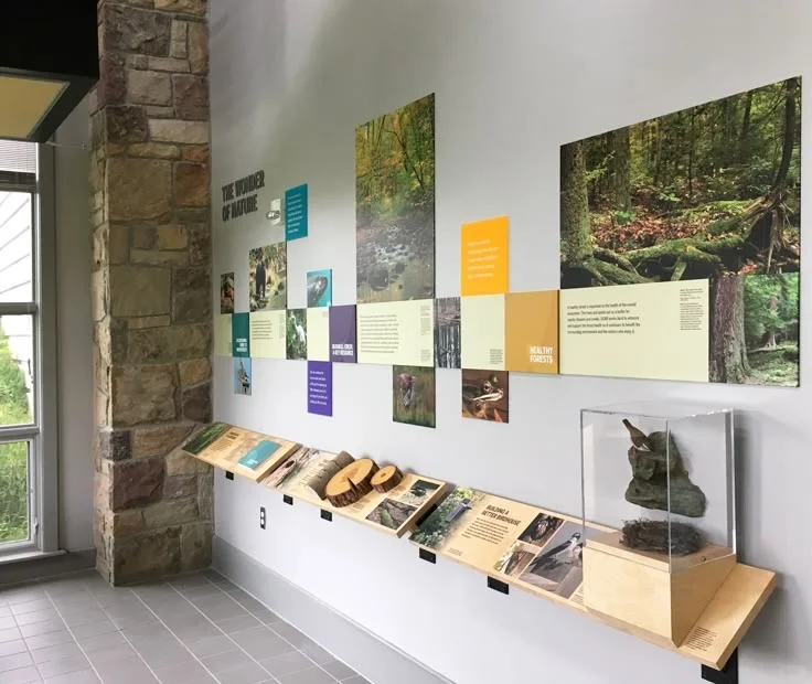 来！一起看看有趣的展览吧