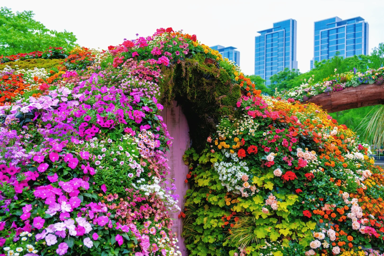 今天六点的沙湖公园