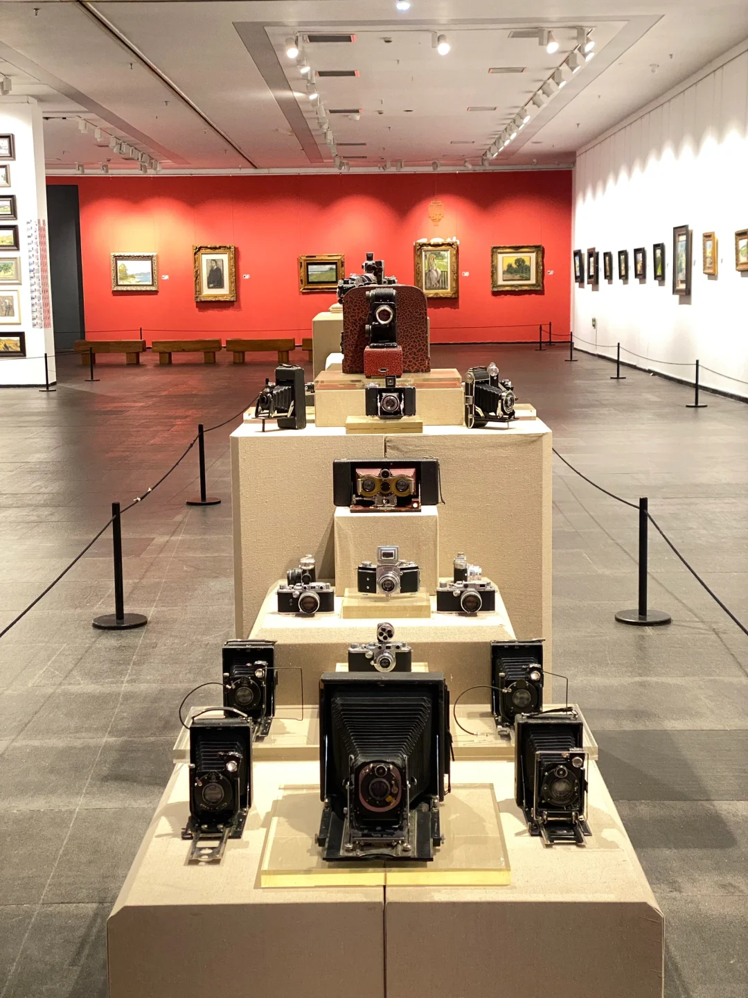 偶遇云龙湖画展 超出片 快去打卡