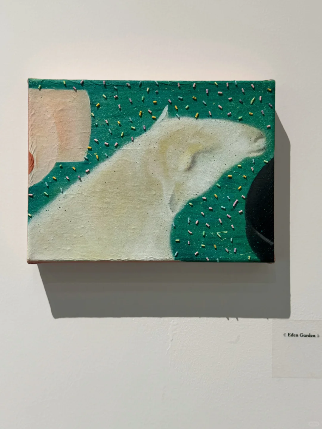 五一别错过798免费趣味展?