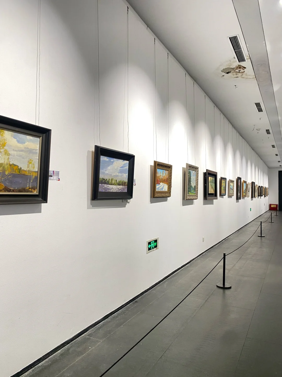 偶遇云龙湖画展 超出片 快去打卡