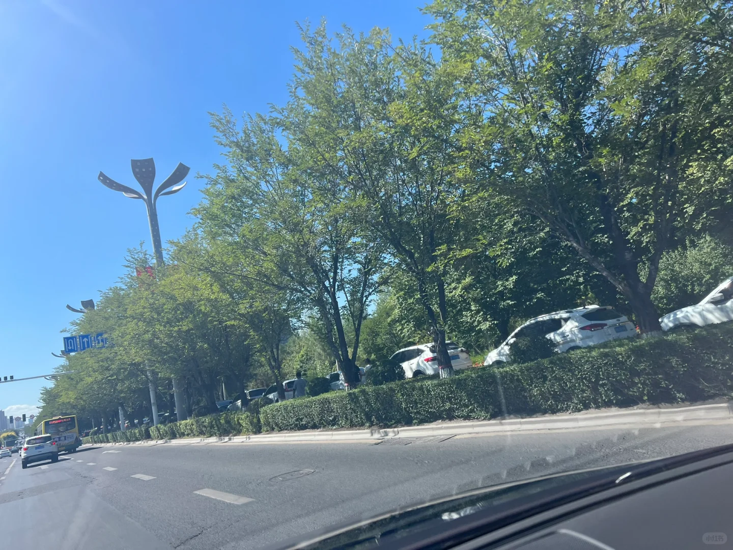 会展吾悦别开车去了！！！