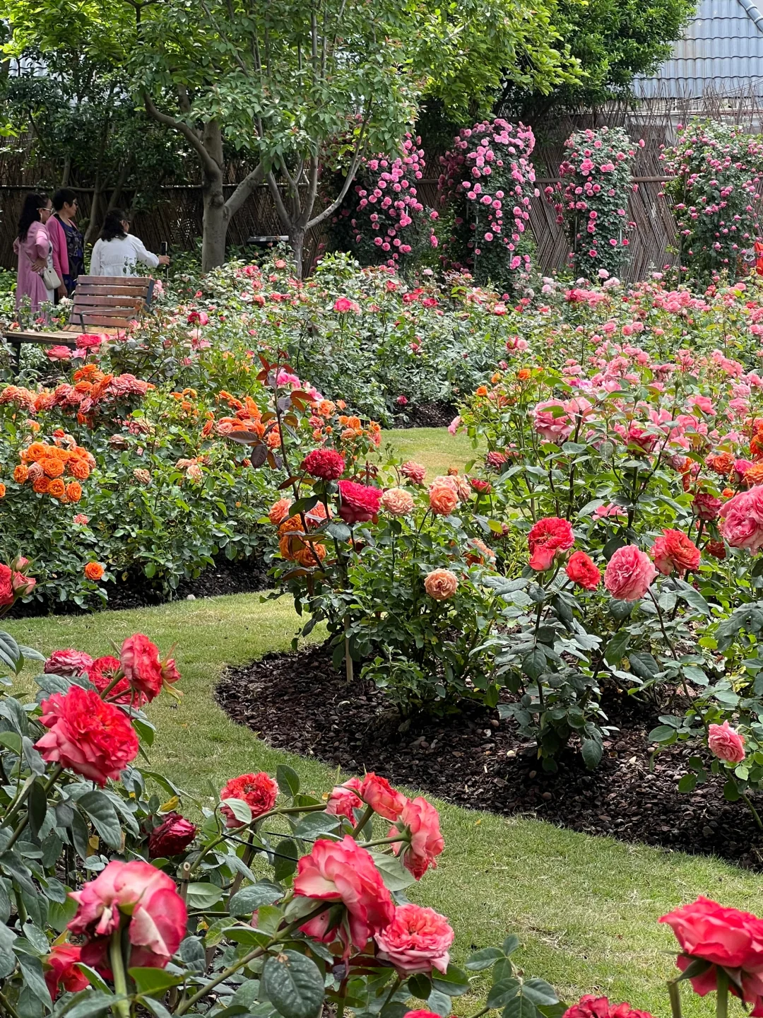 4.30估计五一有1w 人去的上海花展新路线！