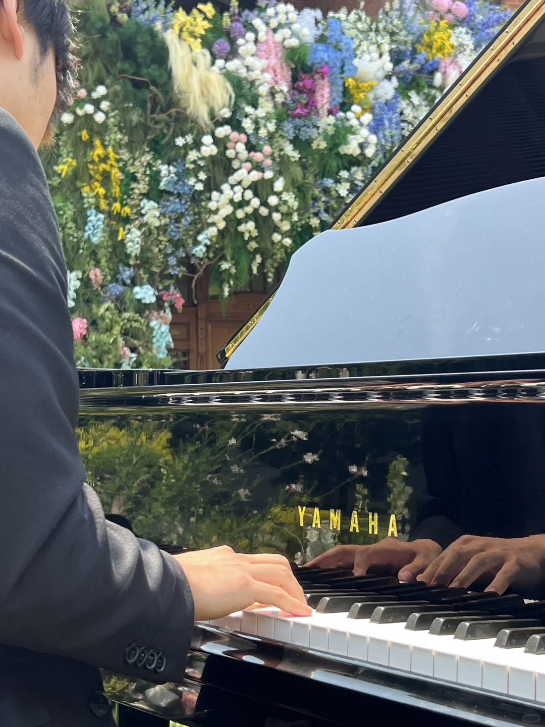 4.30估计五一有1w 人去的上海花展新路线！