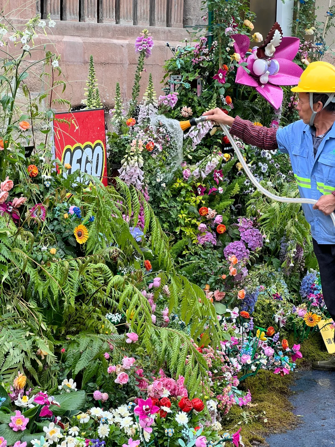 4.30估计五一有1w 人去的上海花展新路线！