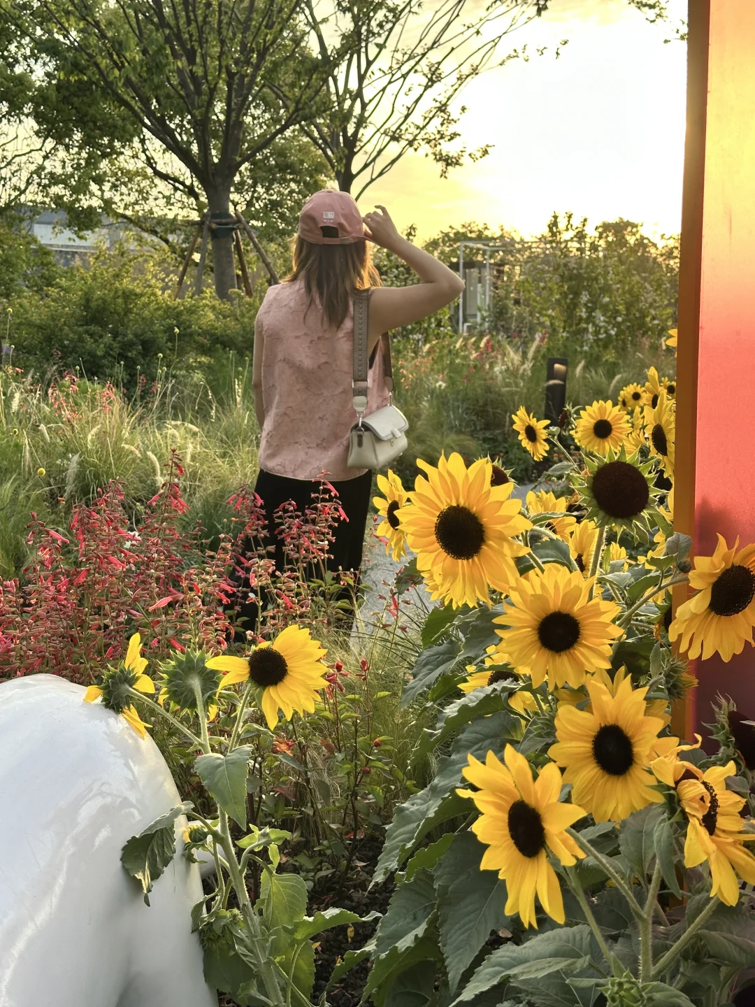 ?上海国际花展|前滩1.5公里花海???