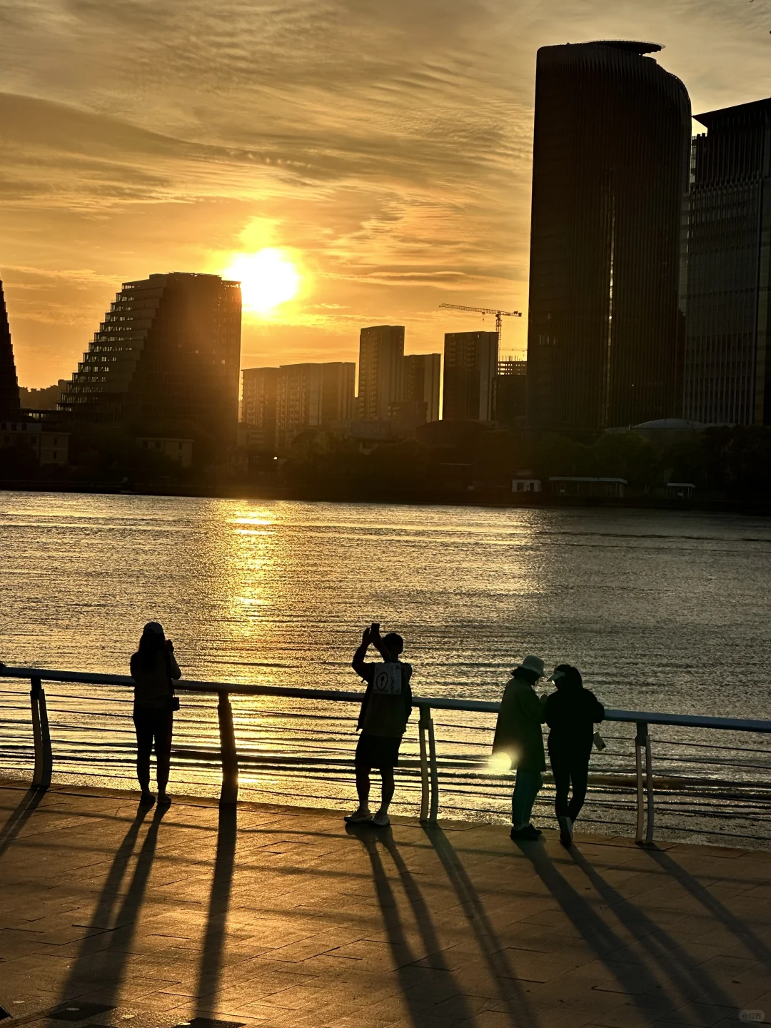 ?上海国际花展|前滩1.5公里花海???