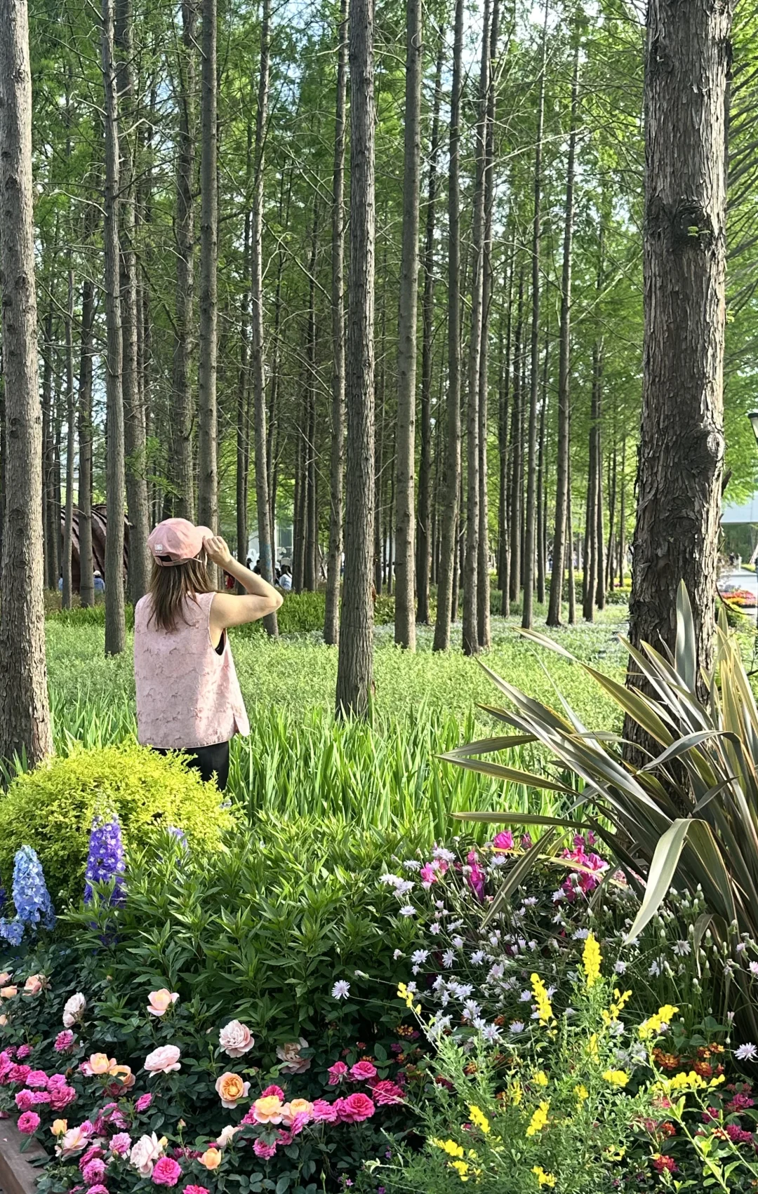 ?上海国际花展|前滩1.5公里花海???