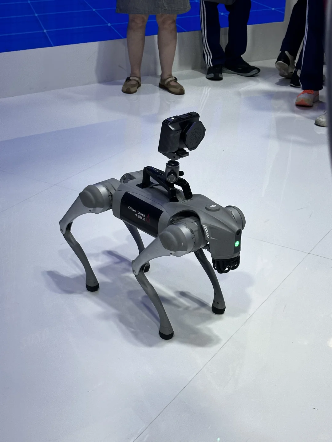 数字峰会羊毛冲冲冲