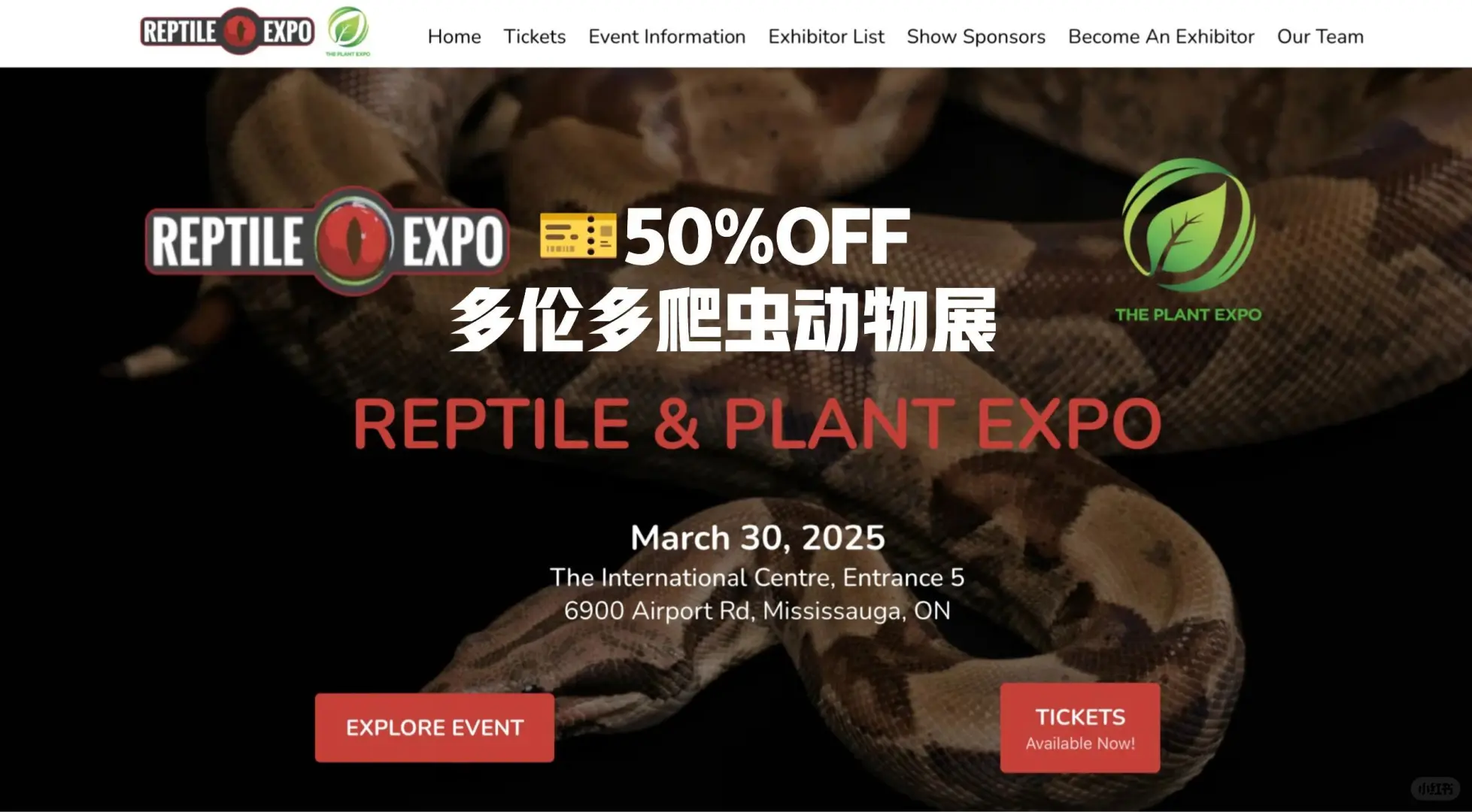 ?50%OFF 多伦多爬虫动物展会攻略