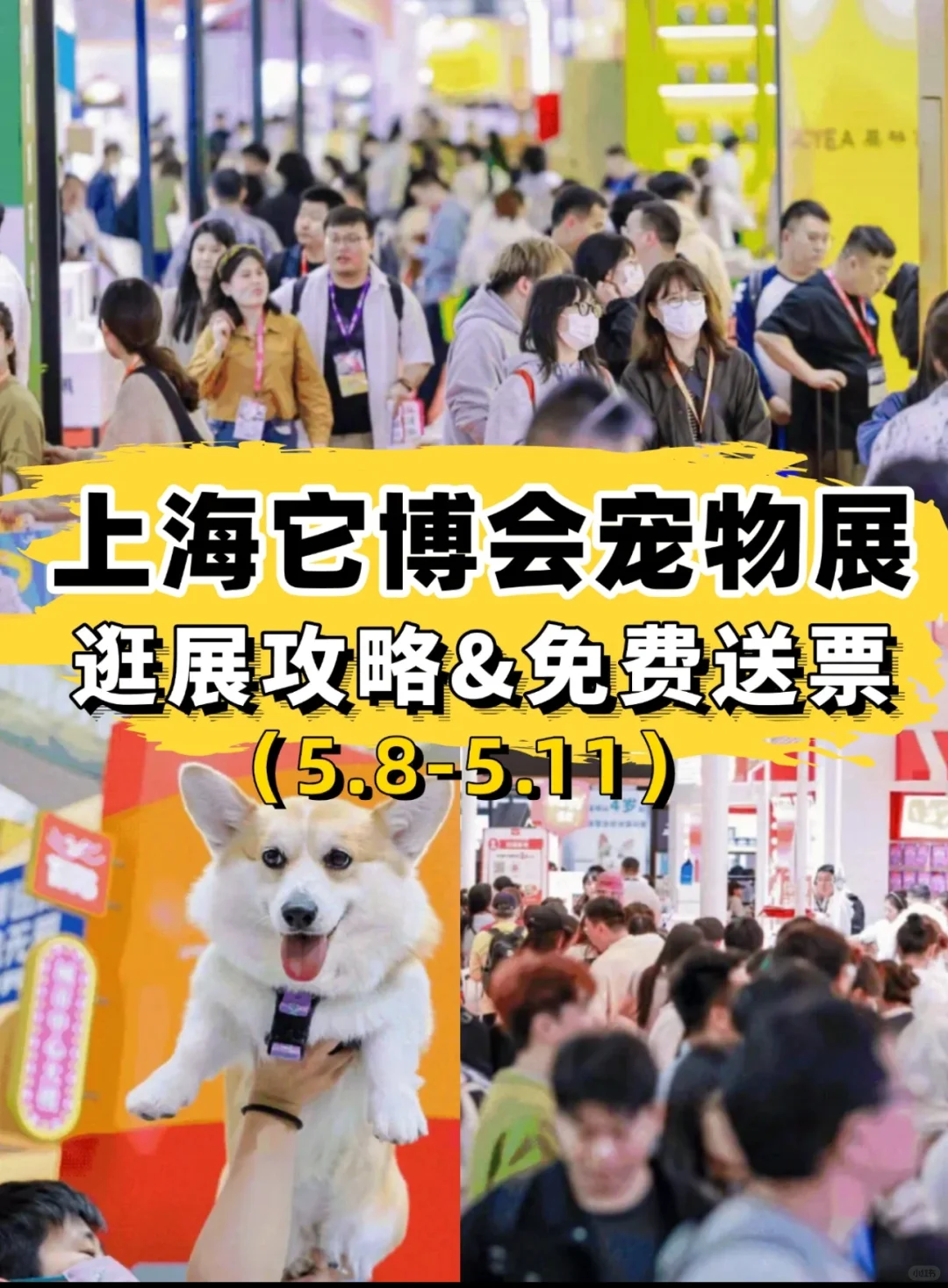 上海它博会攻略??周末早鸟票35起！快冲