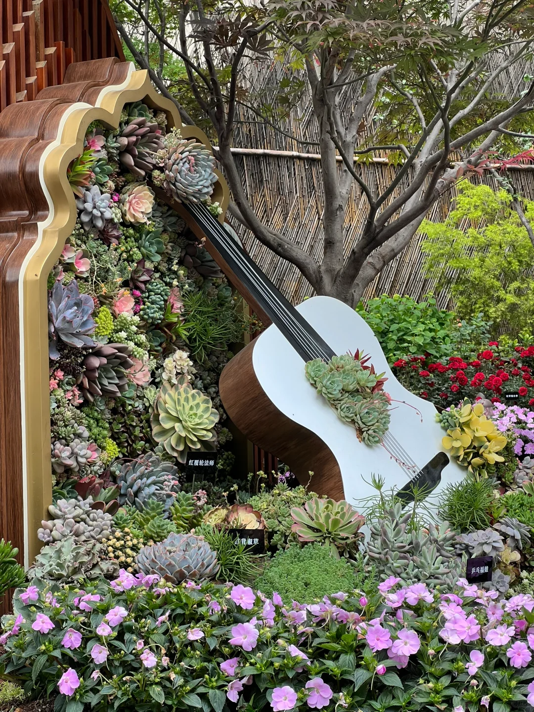 4.30估计五一有1w 人去的上海花展新路线！