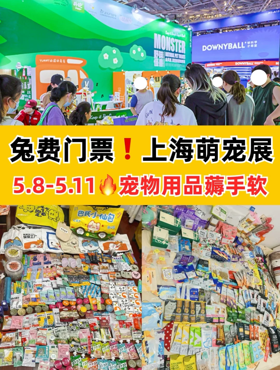 真的有免费门票的萌宠展！宠物展