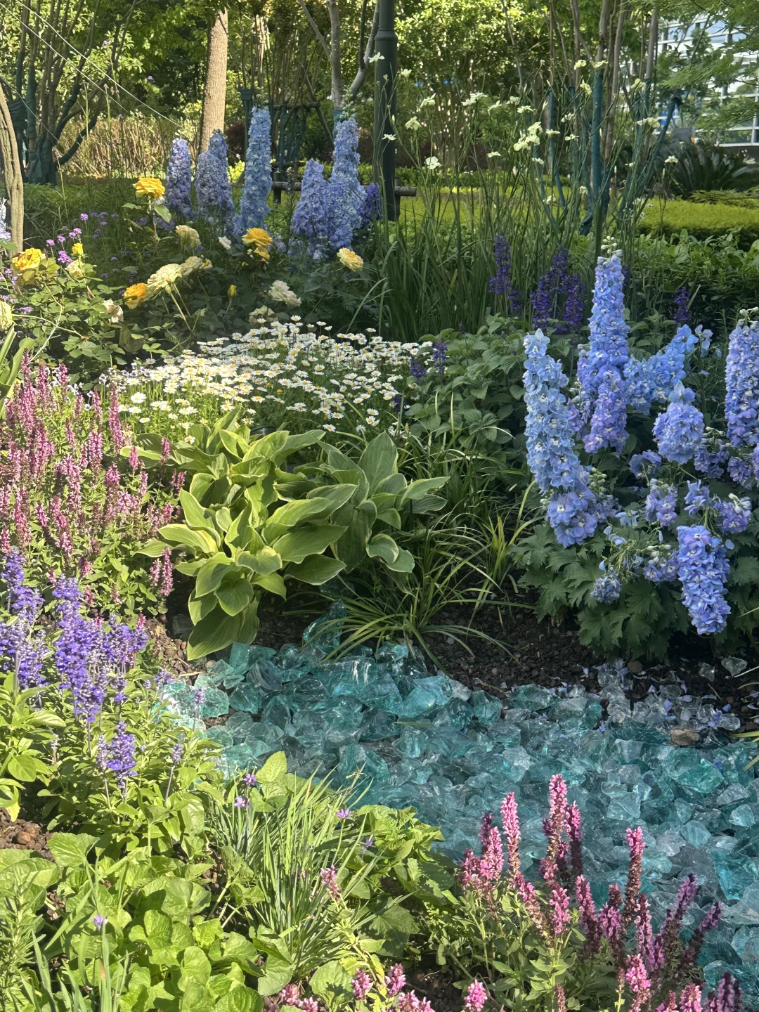 ?上海国际花展|前滩1.5公里花海???