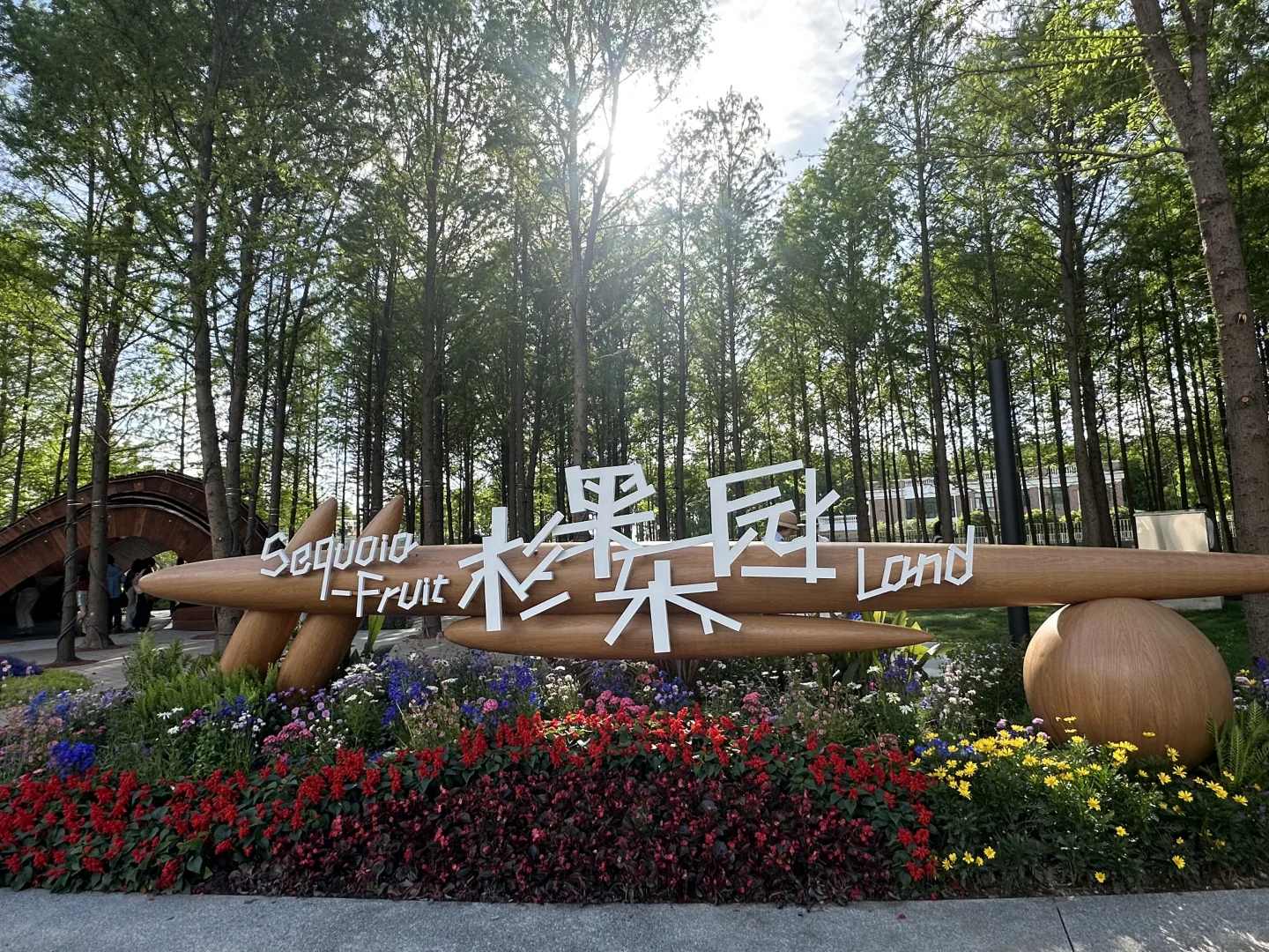 ?上海国际花展|前滩1.5公里花海???