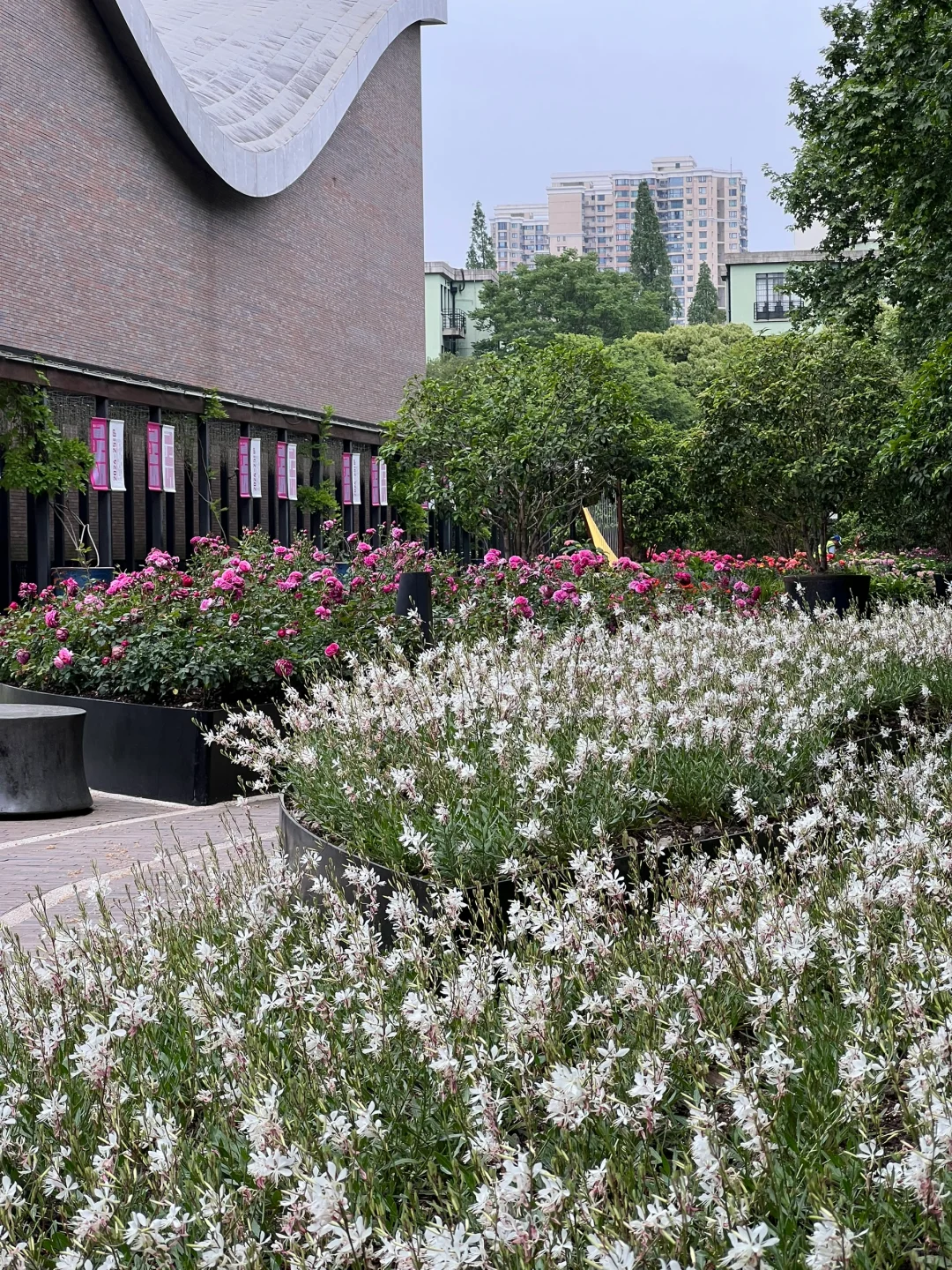 4.30估计五一有1w 人去的上海花展新路线！