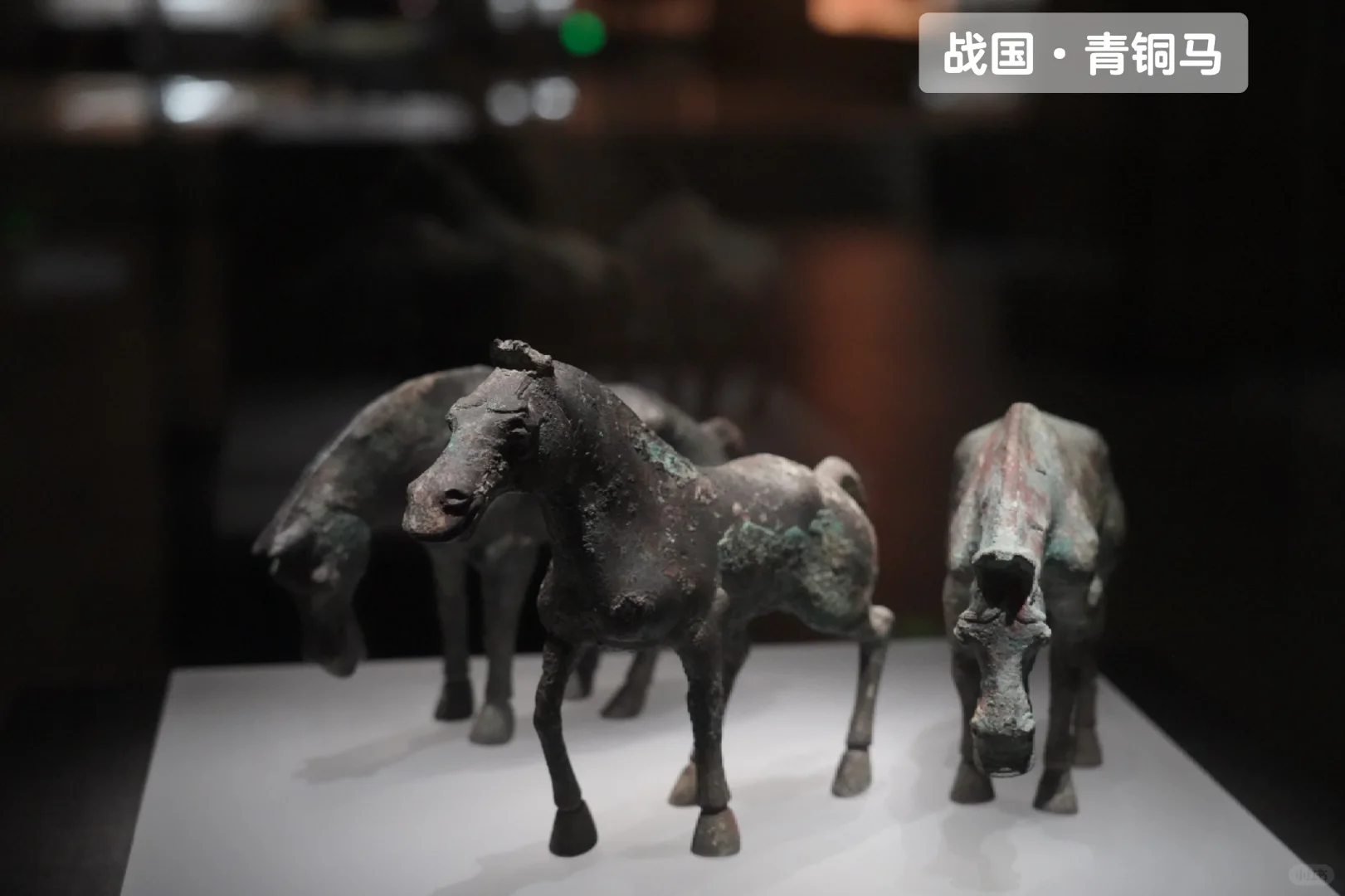 邯郸博物馆-邯郸为什么叫“邯郸”