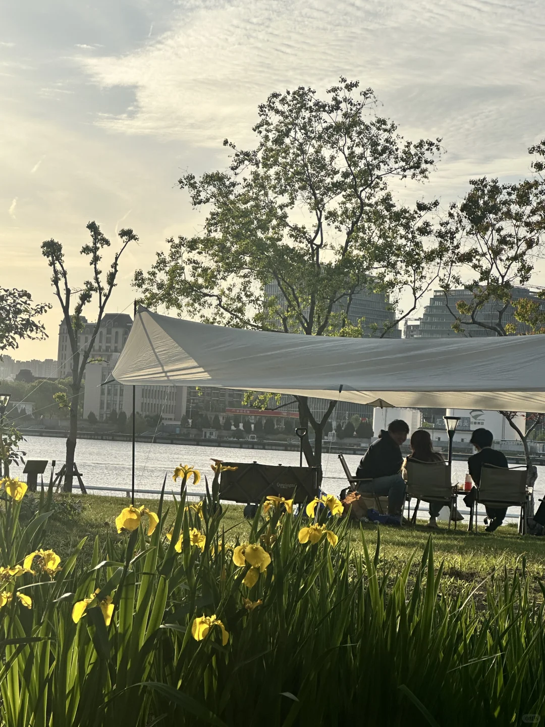 ?上海国际花展|前滩1.5公里花海???