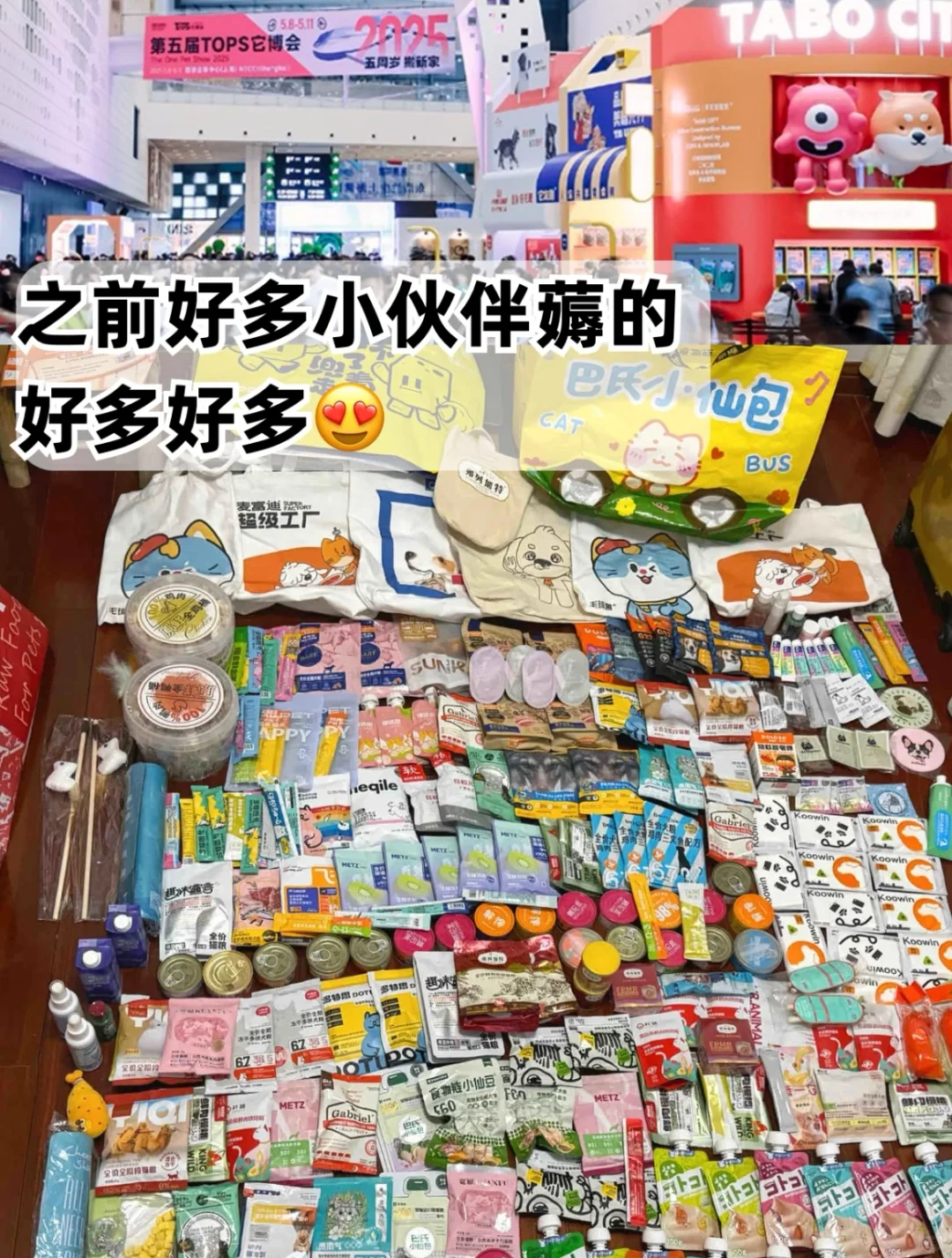 真的有免费门票的萌宠展！宠物展