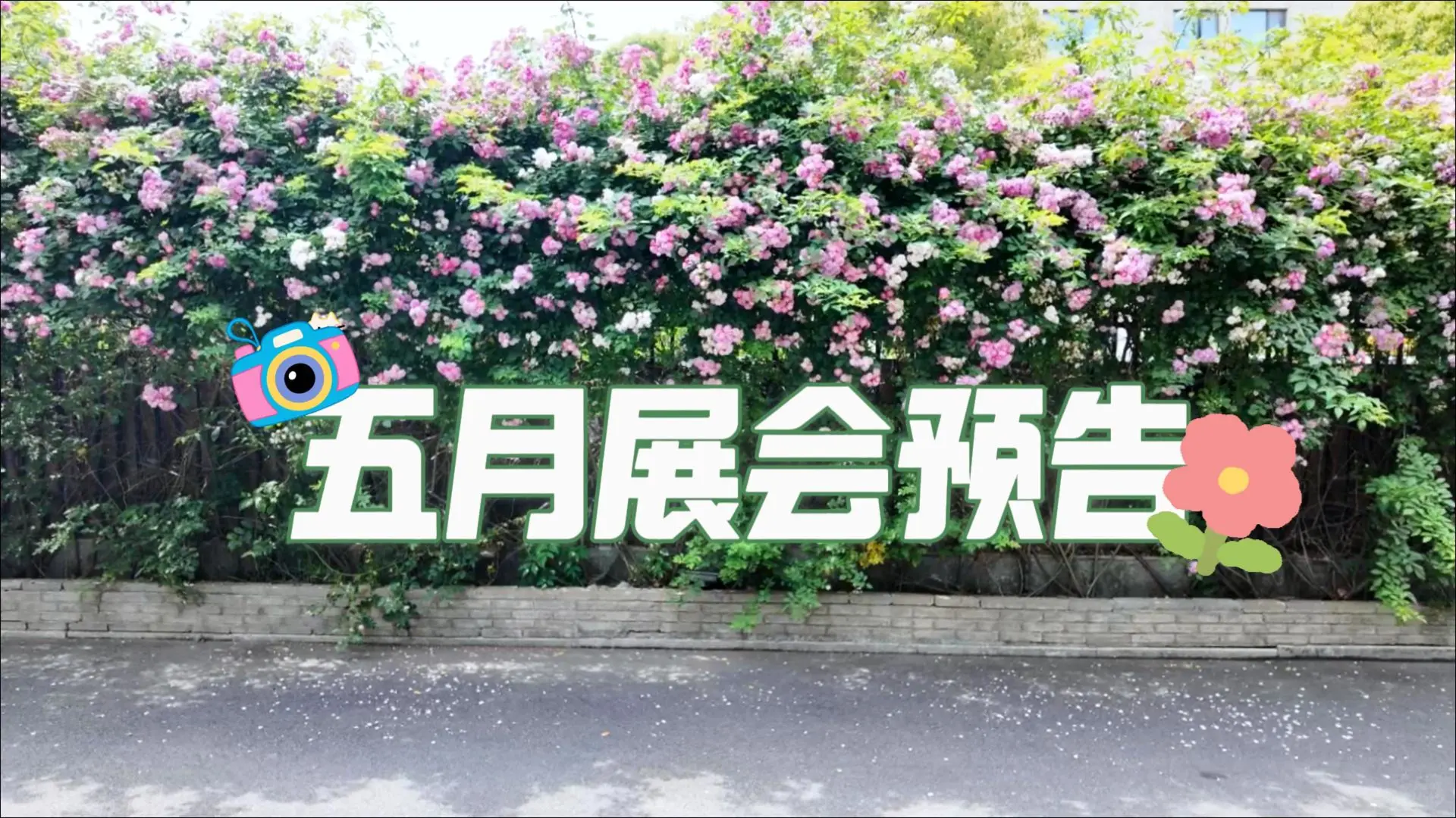 展会预告 | 焕燃五月，迸发展会新热情❤️‍?