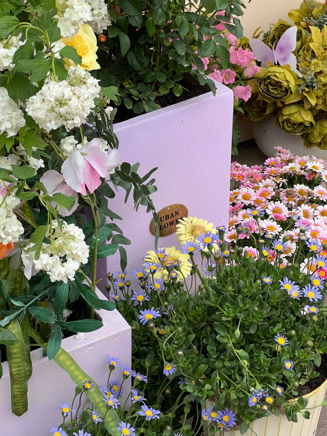 4.30估计五一有1w 人去的上海花展新路线！