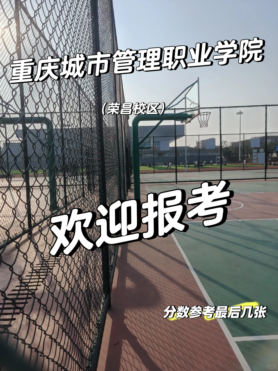 这里是重庆城管