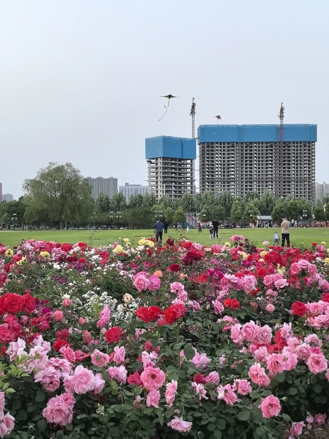 南阳五一怕挤不出游的可以去解放广场?‍