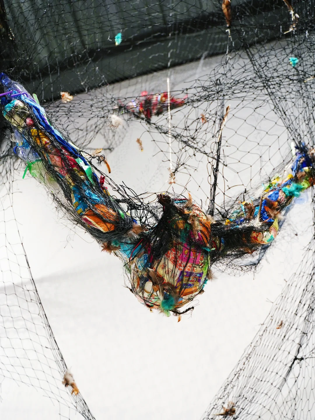 五一必打卡！魔都zui治愈艺术展