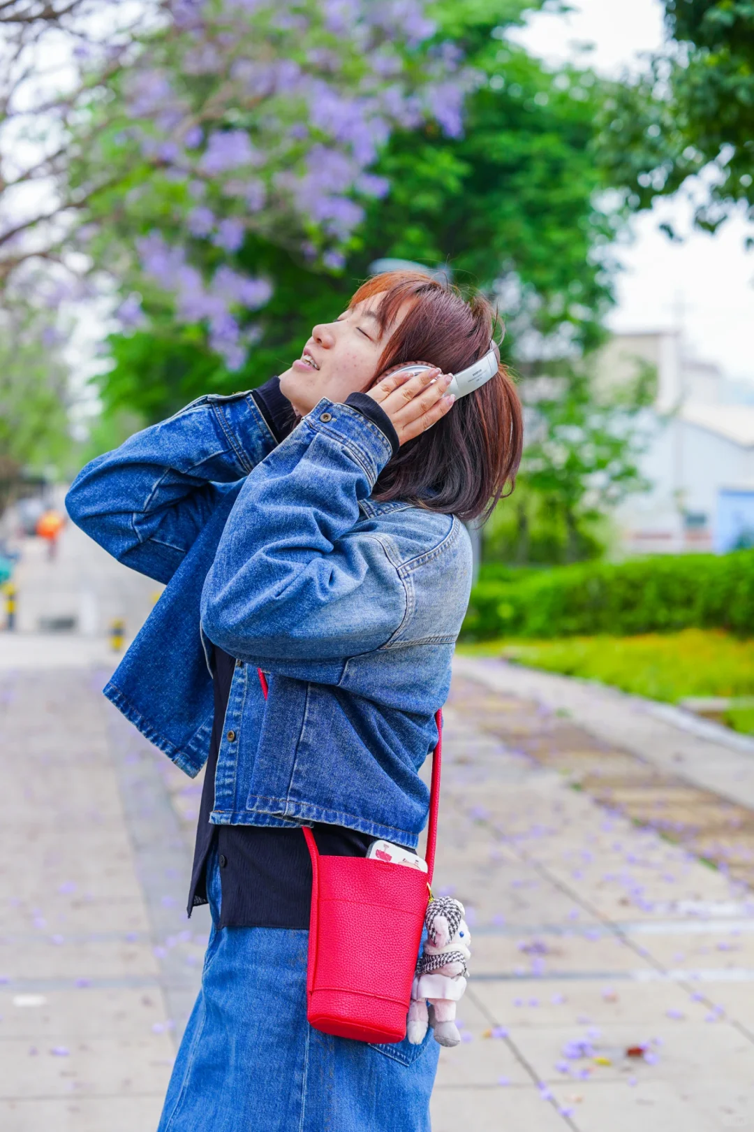 蓝花楹 我推荐滇池国际会展中心