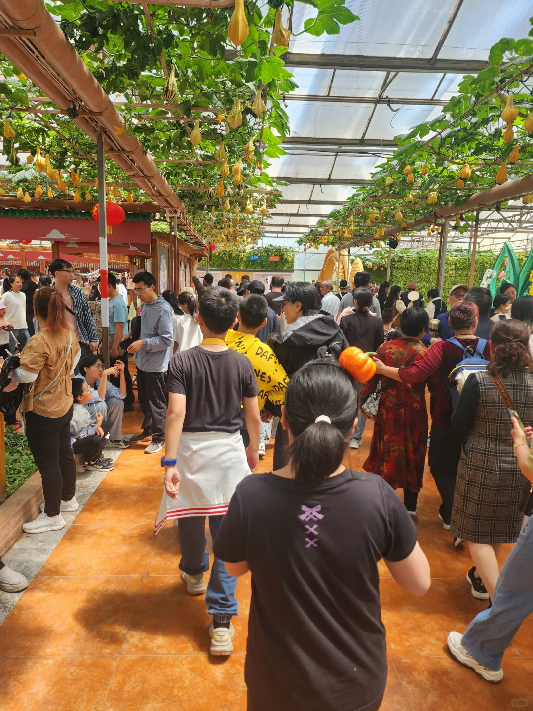 50元门票解锁农业黑科技-寿光蔬菜博览会