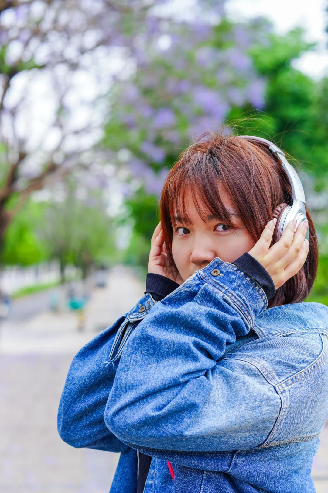 蓝花楹 我推荐滇池国际会展中心