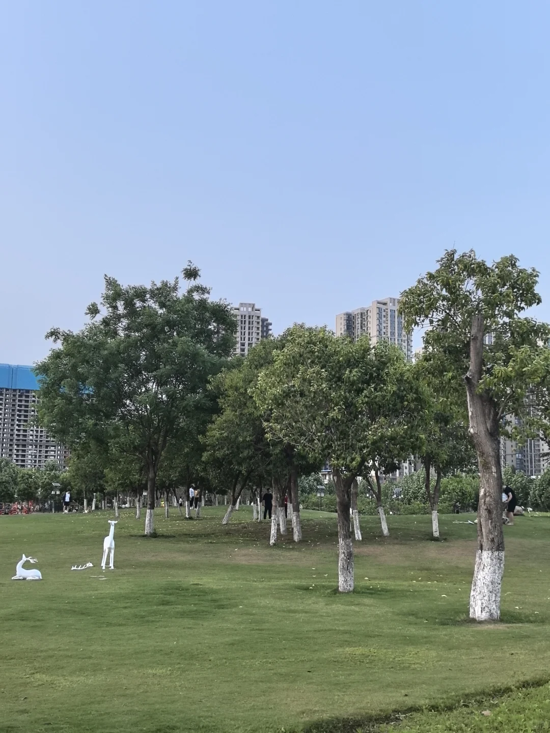 南阳五一怕挤不出游的可以去解放广场?‍