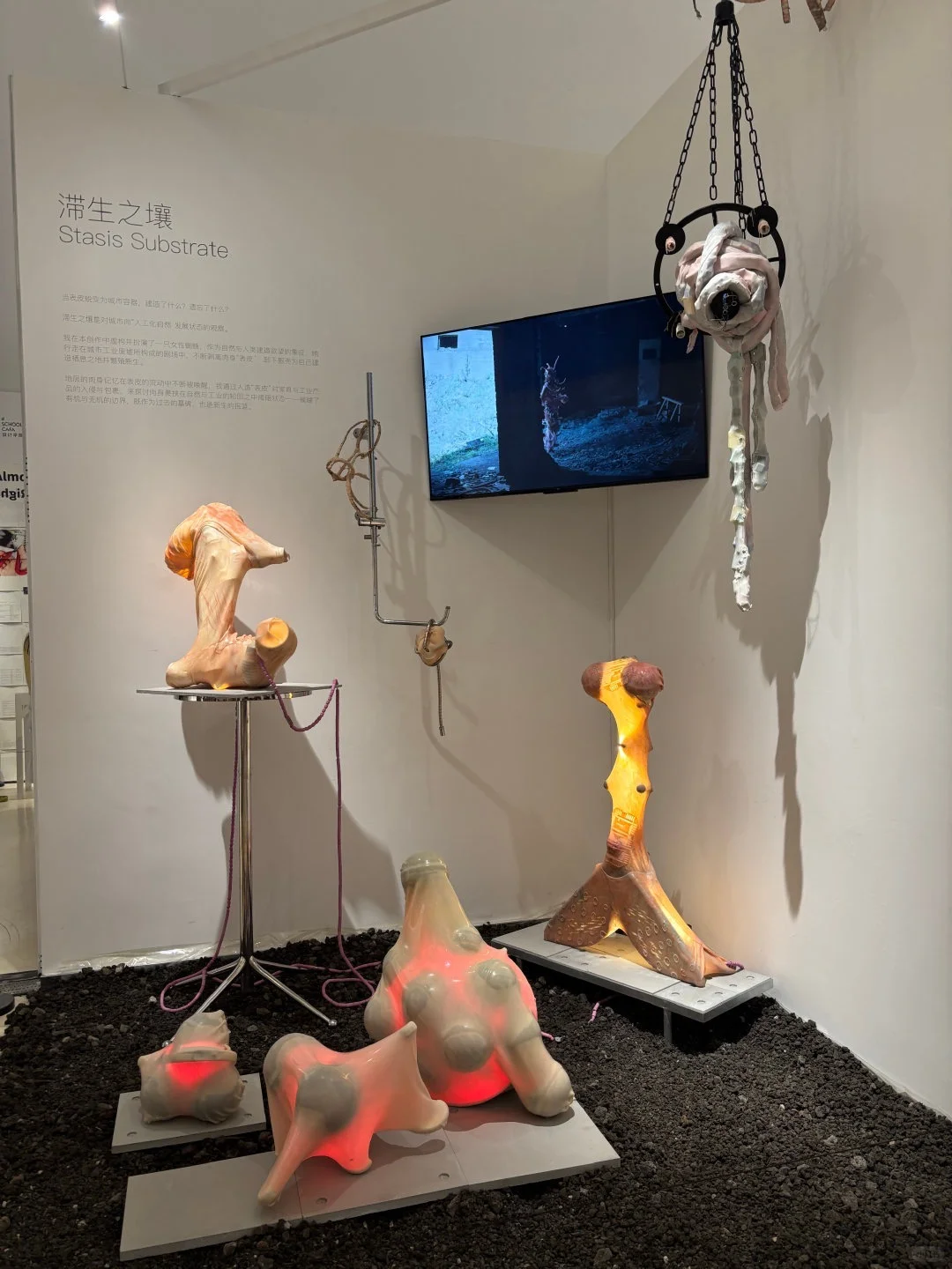 ?直击2025中央美院研究生毕业作品展
