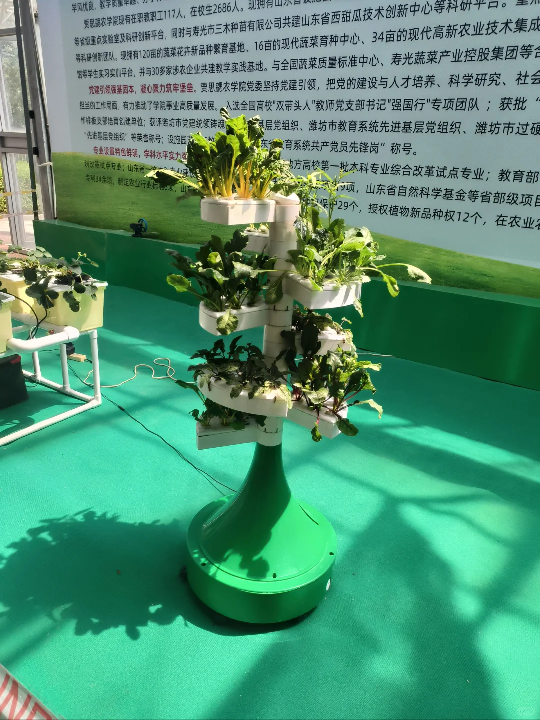 寿光菜博会一日游