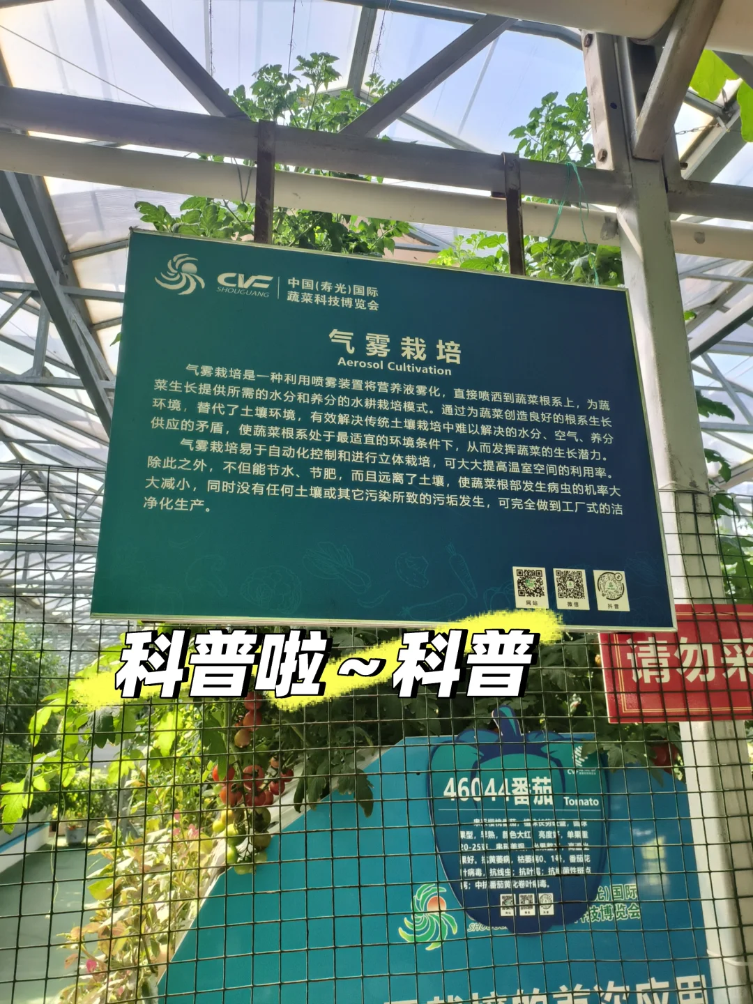 寿光菜博会一日游