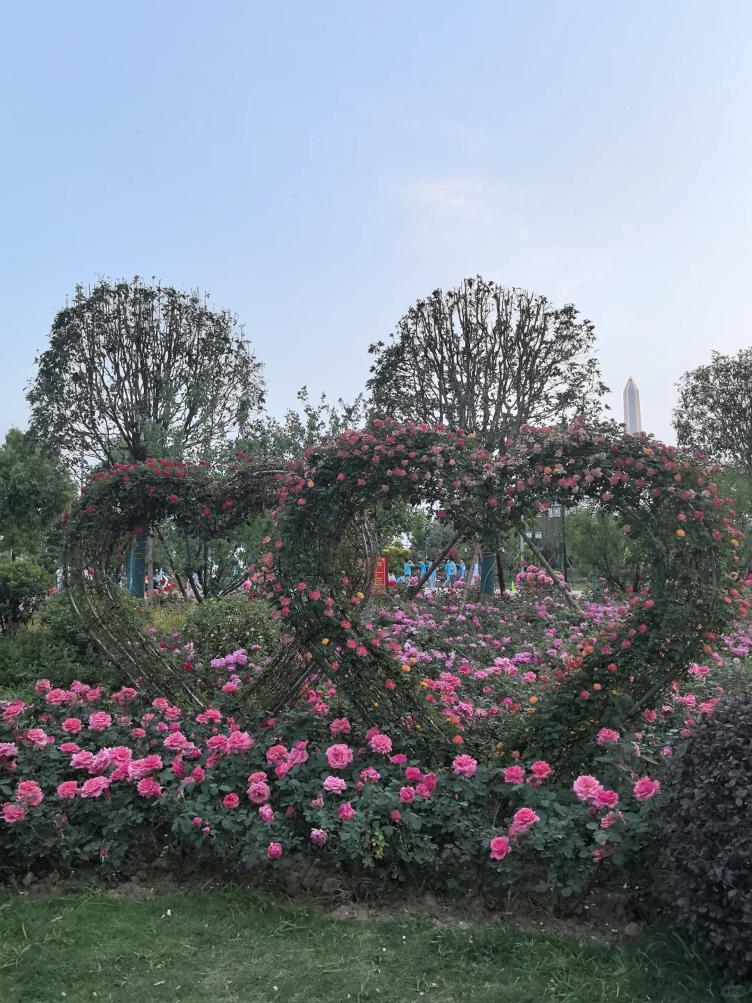 南阳五一怕挤不出游的可以去解放广场?‍