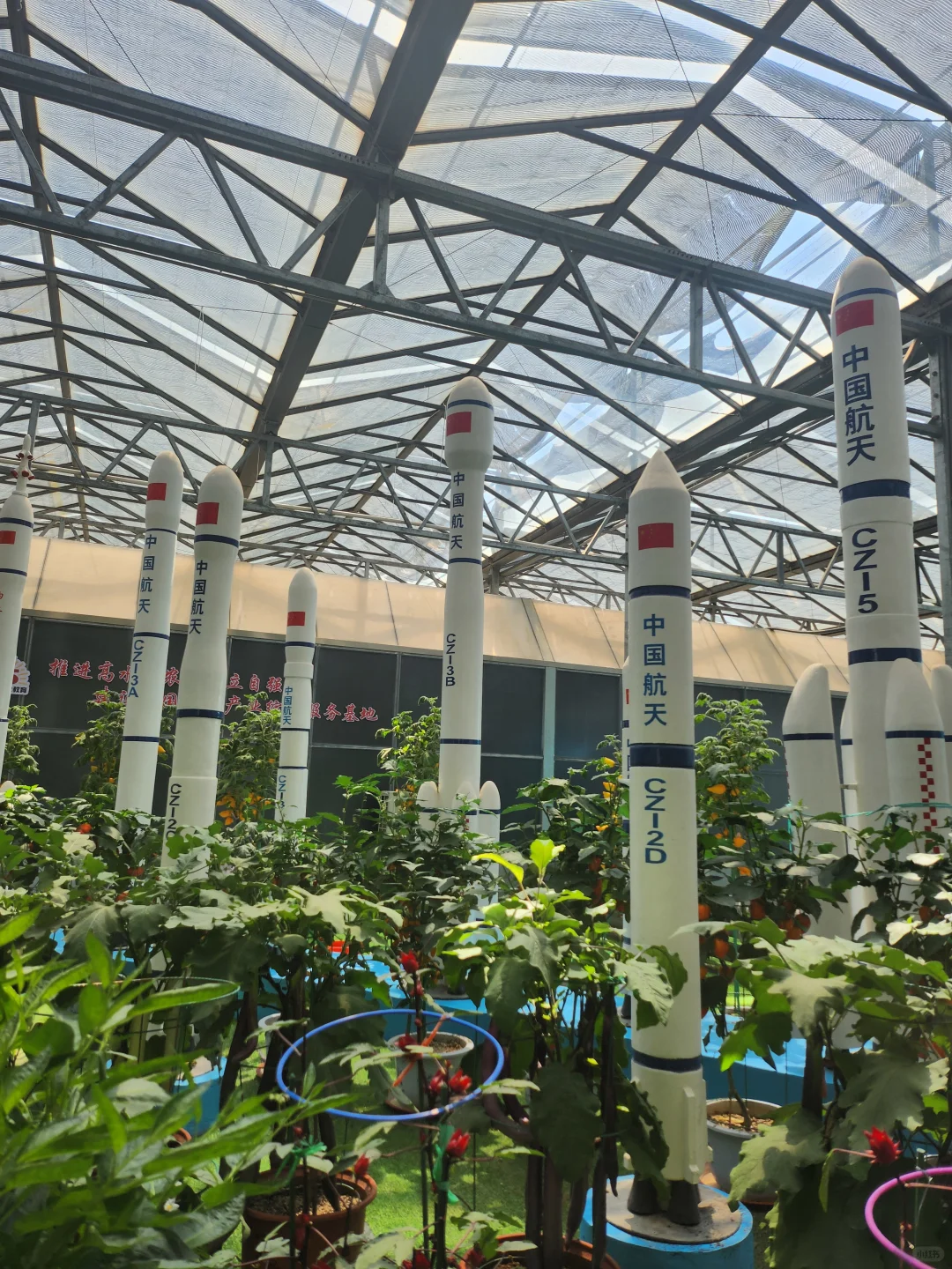 50元门票解锁农业黑科技-寿光蔬菜博览会