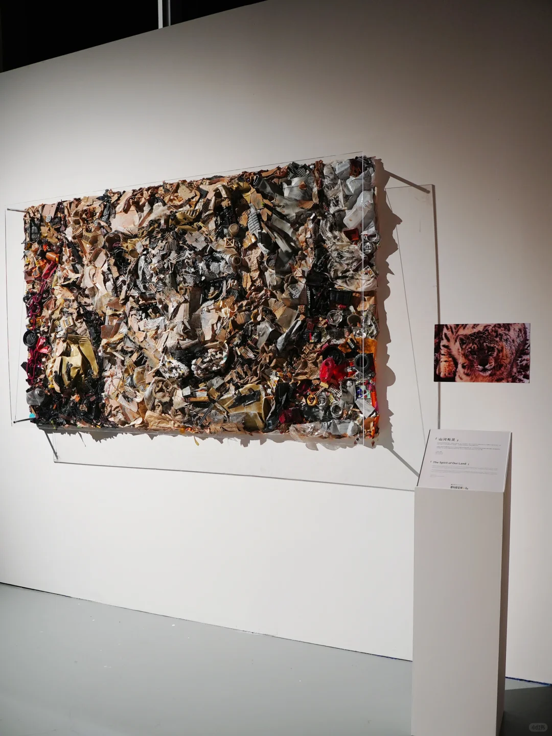 五一必打卡！魔都zui治愈艺术展