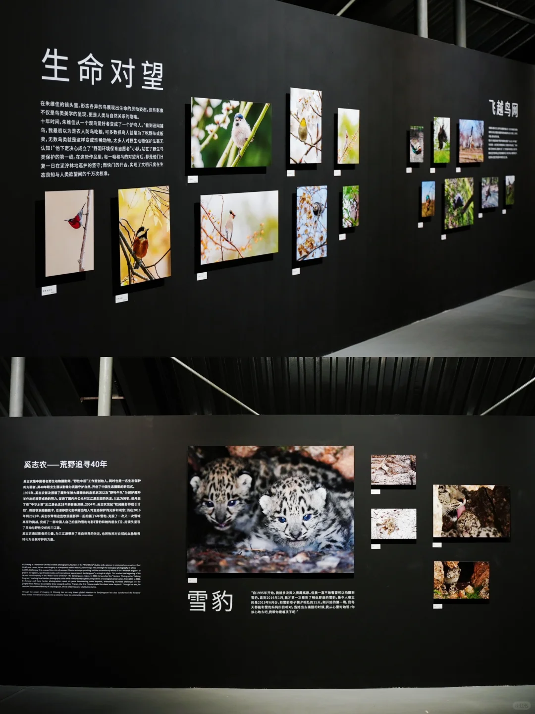 五一必打卡！魔都zui治愈艺术展