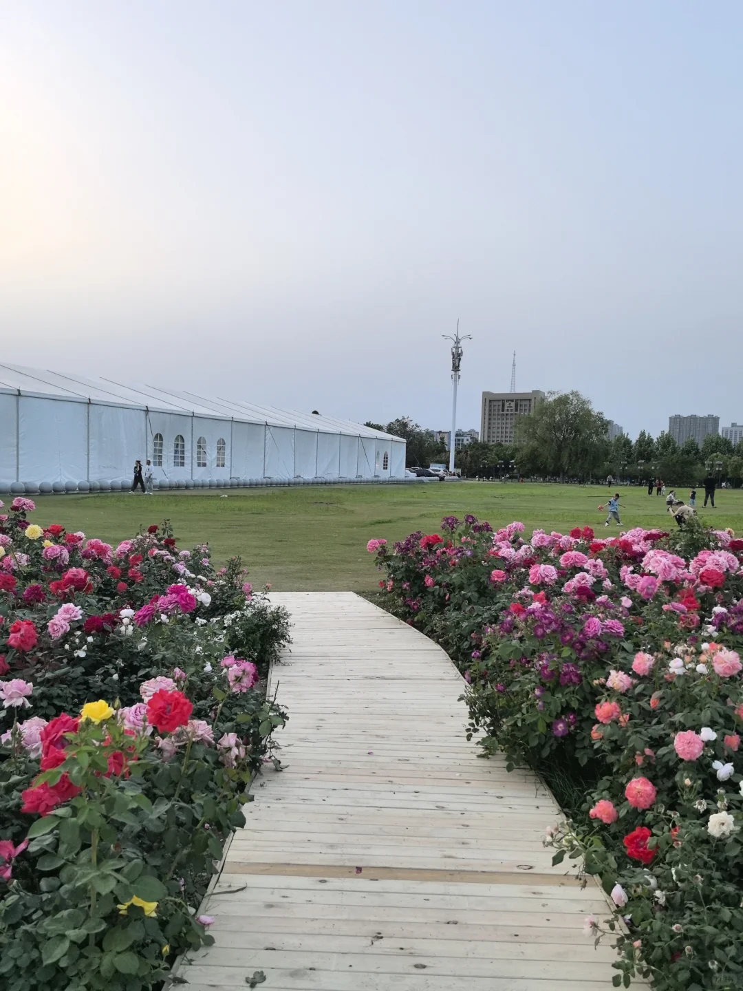 南阳五一怕挤不出游的可以去解放广场?‍