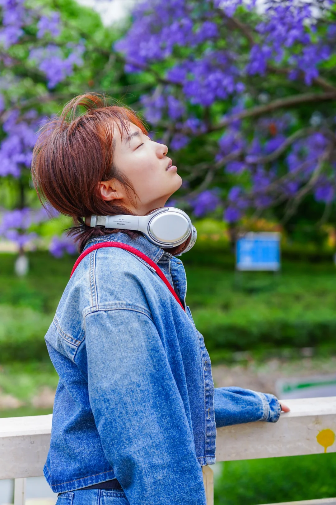 蓝花楹 我推荐滇池国际会展中心