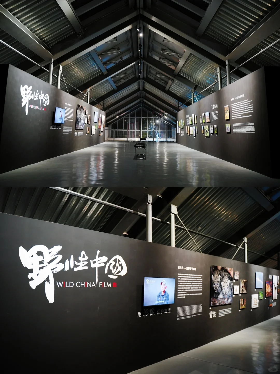 五一必打卡！魔都zui治愈艺术展