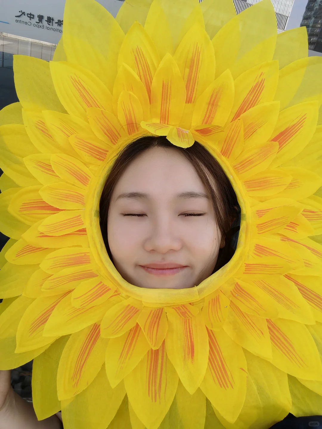 5.1南京金陵青年文化博览会漫展