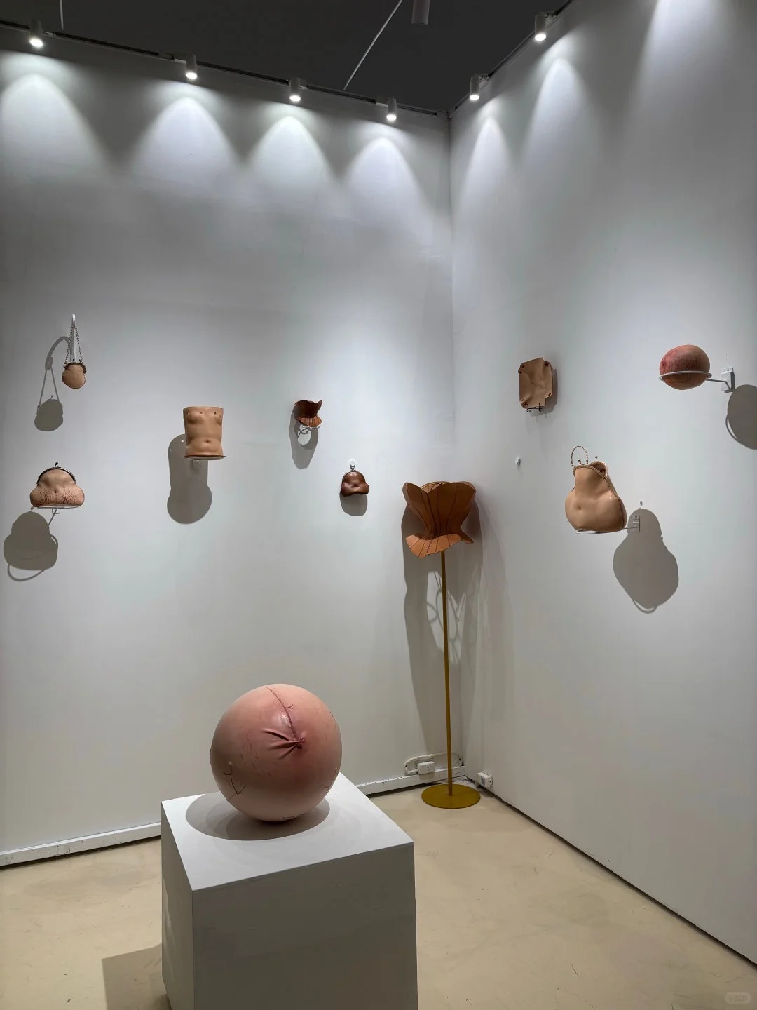 ?直击2025中央美院研究生毕业作品展